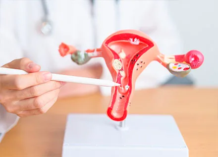 Cervical Cone Biopsy