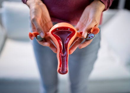 Hysteroscopic Myomectomy