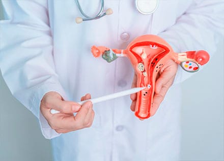 MyoSure Fibroid or Polyp Removal Procedure