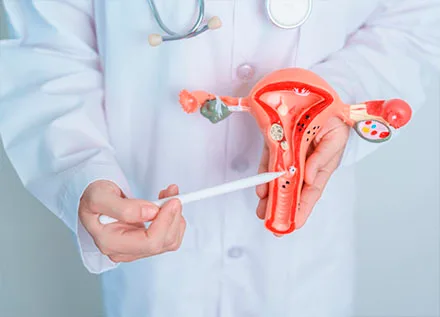 MyoSure Fibroid or Polyp Removal Procedure