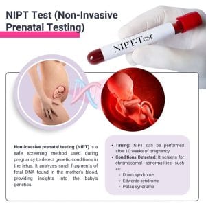 Non-Invasive Prenatal Testing (NIPT) in Midtown, NYC & Rego Park ...