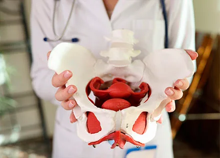 Pelvic Floor Reconstruction