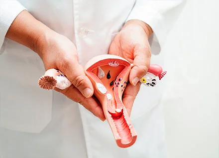 Uterine Septum Correction